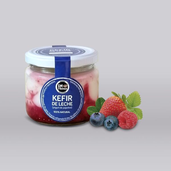 KÉFIR GRIEGO SABOR BERRIES